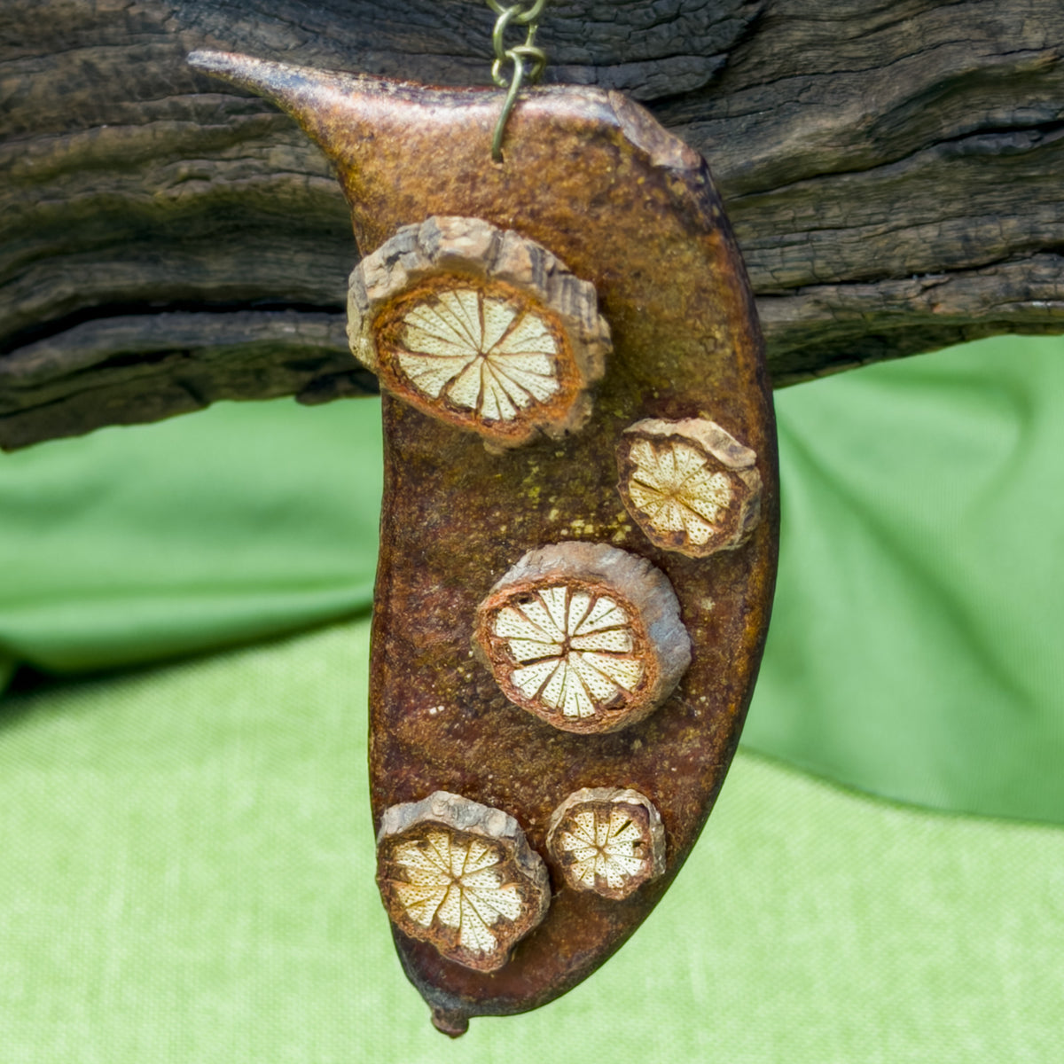 Handcrafted Botanical Necklace – Natural Sappanwood Pod & Sargentodoxa Vine Slice Pendant, Eastern Forest Energy Talisman, Spiritual Gift