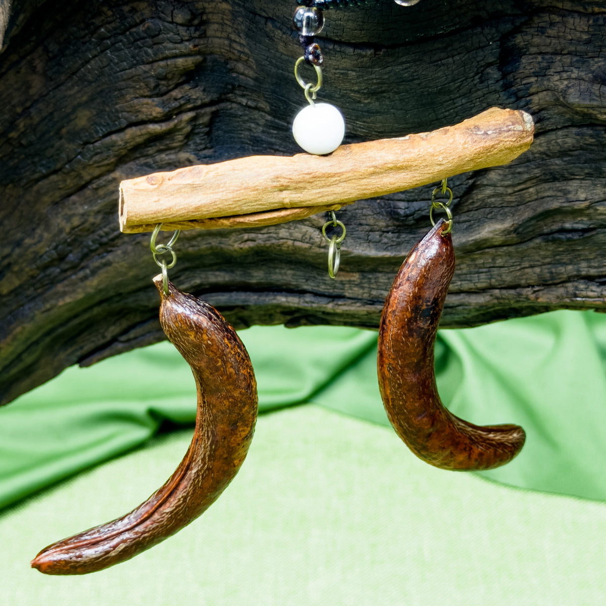 Handcrafted Botanical Necklace – Crescent Cinnamon Bark & Twin Honeylocust Pod Pendant, Aromatic Earth Energy Talisman, Zen Gift